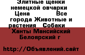 Элитные щенки немецкой овчарки › Цена ­ 30 000 - Все города Животные и растения » Собаки   . Ханты-Мансийский,Белоярский г.